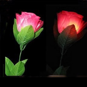 Flower Light