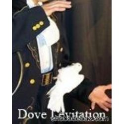Levitation Dove