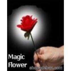 Appear Flower
