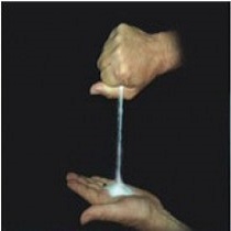 Insta Salt instasalt25 275x73